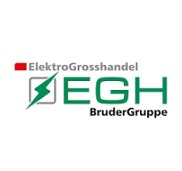 EGH Elektrogroßhandel Oberlungwitz Logo