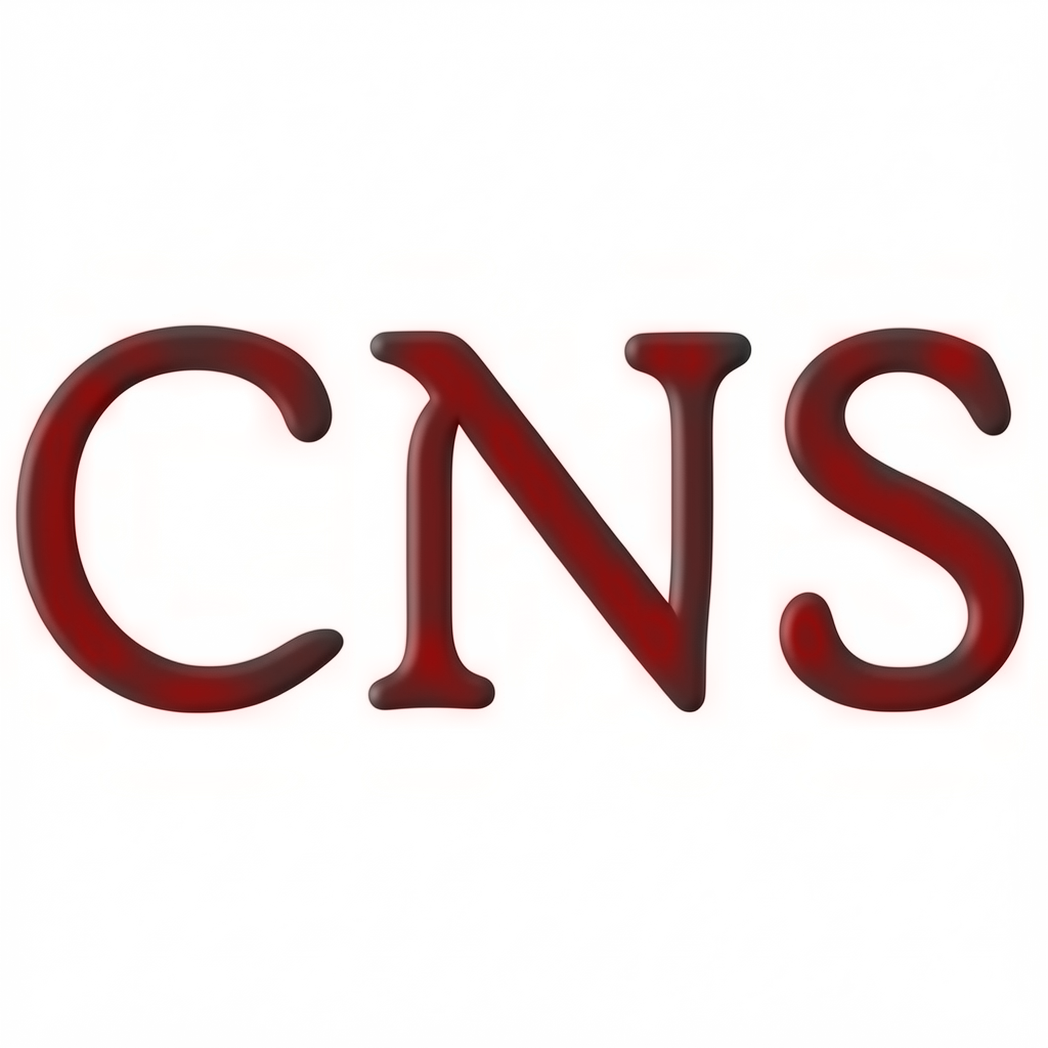 CNS Systemhaus Hoyerswerda GmbH Logo